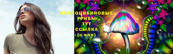 каннабис Алексин