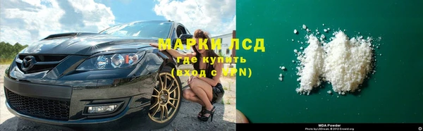 стафф Алзамай