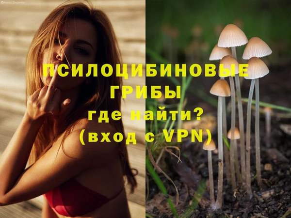 стафф Алзамай