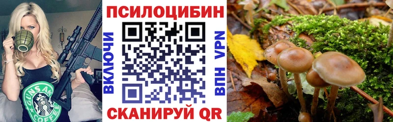 Псилоцибиновые грибы Psilocybe Балашиха
